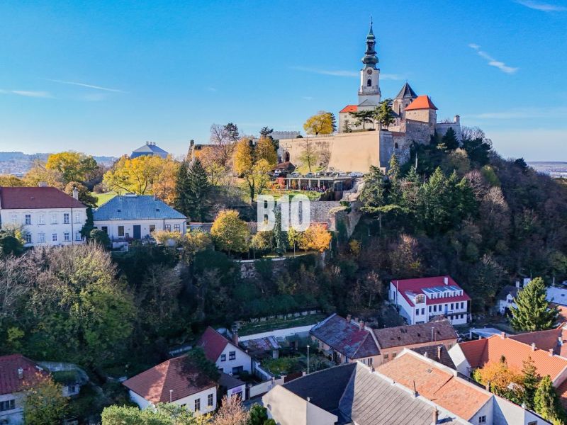 Bývanie alebo podnikanie priamo pod HRADOM? - Hrad v Nitre obklopený domami a bohatou zeleňou počas dňa.