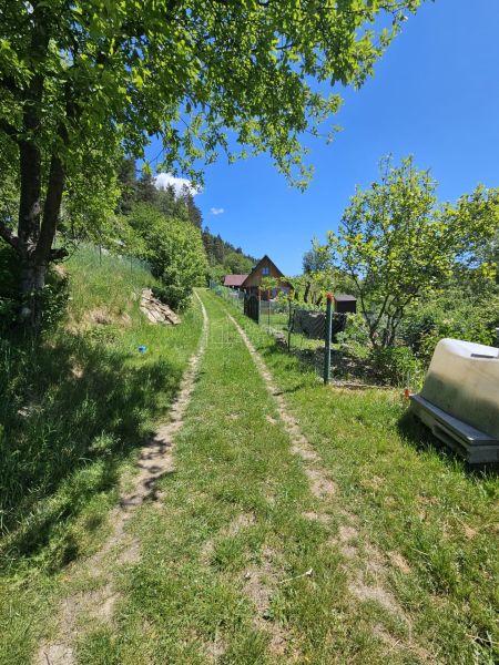 PREDAJ: Záhradná chatka s pozemkom Žilina - Budatín (MO) - Cesta obklopená zeleňou vedie ku chate v Budatíne.