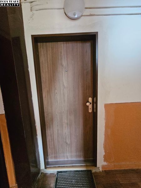 Predáme novorekonštruovanú garzonku v Šali - Vstupné dvere s dreveným dekorom a čiernou rohožou, Garsónka.