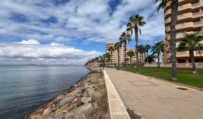 Na predaj apartmán - Mar Menor, Španielsko A500ZL - Pobrežná promenáda s palmami pri Rekreačnom apartmáne v La Manga del Mar Menor, Španielsko.