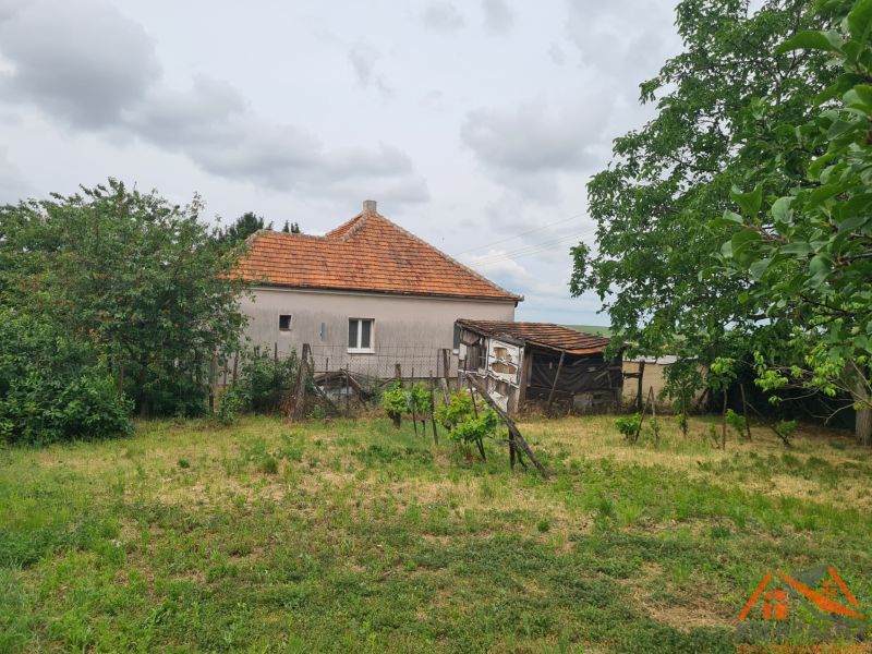 Na predaj rodinný dom Dulovce ! - Rodinný dom v Dulovciach s veľkým dvorom a záhradou, obklopený stromami.