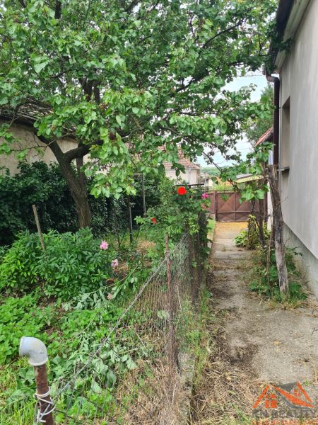 Na predaj rodinný dom Dulovce ! - Záhrada pri rodinnom dome v Dulovciach so stromom a kvetmi pozdĺž chodníka.