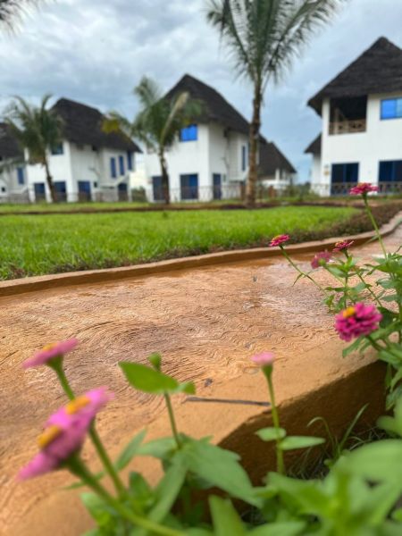 Dom pri pláži s vlastnou studňou a bazénom - Zanzibar, Uroa O578ZL - Rodinné domy v Zanzibare obklopené palmami a farebnými kvetmi v záhrade.
