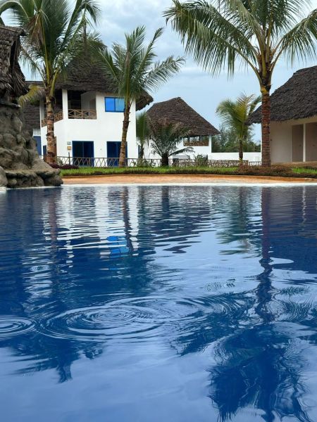 Dom pri pláži s vlastnou studňou a bazénom - Zanzibar, Uroa O578ZL - Rodinný dom v Zanzibare obklopený palmami s bazénom v popredí.