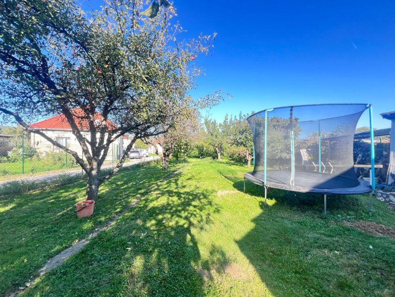 Na predaj 2 domy, ovocný raj a pokojné bývanie - Žirany D339ZL - Záhrada v Žiranoch, okres Nitra, Nitriansky kraj s ovocným stromom a trampolínou pri rodinnom dome.