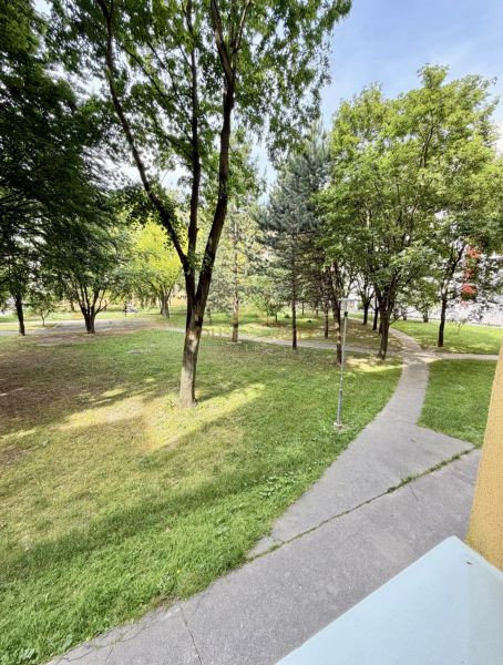 Prenájom pekný 4 izbový byt, Wolkrova ulica, Bratislava V. Petržalka - Parková zeleň a chodníky vo štvrti na Wolkrovej ulici v Petržalke.