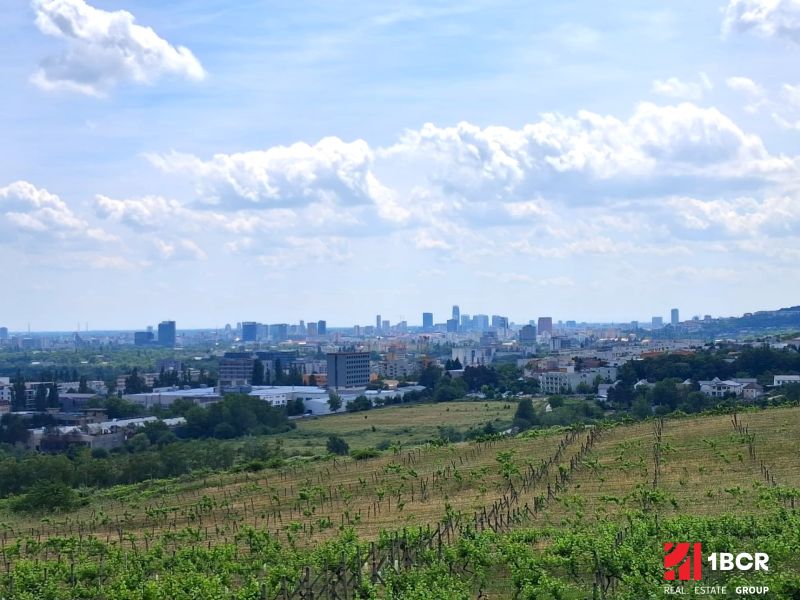 1.BCR | VINICA  S VÝHĽADOM NA MESTO, BRATISLAVA - RAČA - Vinice vo Vtáčikovej ceste v Bratislave - Rači s panoramatickým výhľadom na mesto.