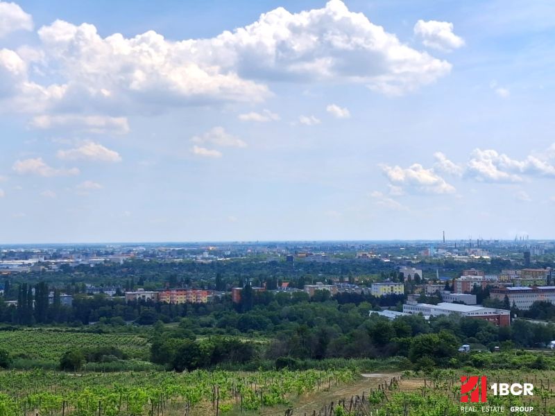 1.BCR | VINICA  S VÝHĽADOM NA MESTO, BRATISLAVA - RAČA - Výhľad z viníc na Vtáčikovej ceste v Bratislave - Rači na mesto.