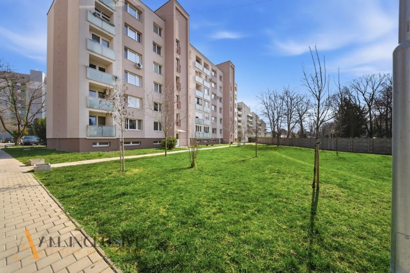 Na prenájom veľkometr. 1-izb. byt s loggiou, Šamorín - Bytovka v Šamoríne so zeleňou z predzáhradky a chodníkom vedľa budovy.