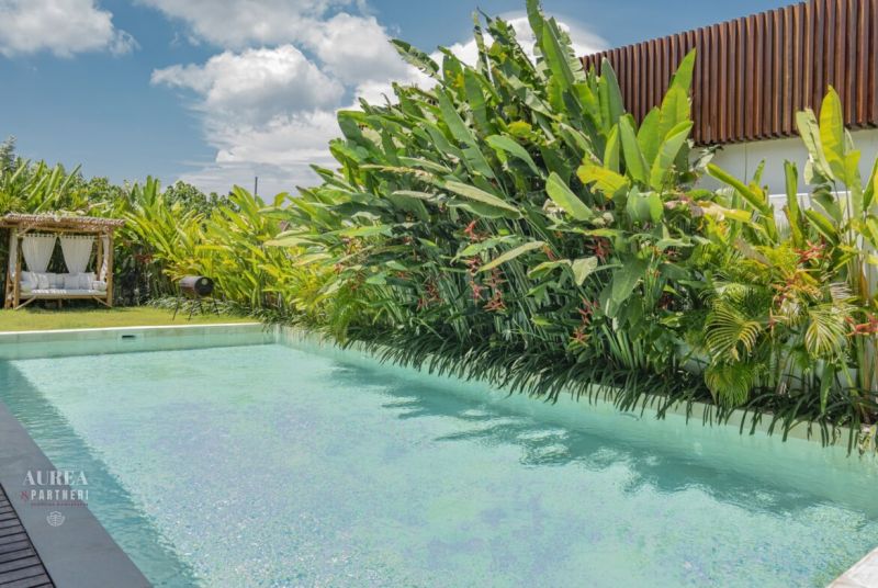 PREDAJ Unikátná 4KK Investičná zariadená vila s bazénom BALI-Jimbaran - Bazén a svieža zeleň v záhrade vily na Bali pod jasnou oblohou.
