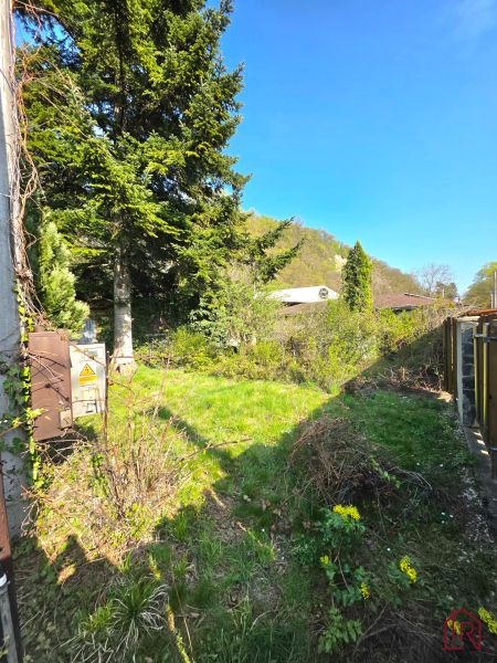 : Záhrada s chatkou, Košice – Krásna, 716 m², elektrina - Záhrada v mestskej časti Krásna na Ulici 1. mája s ihličnanmi a trávnikom.