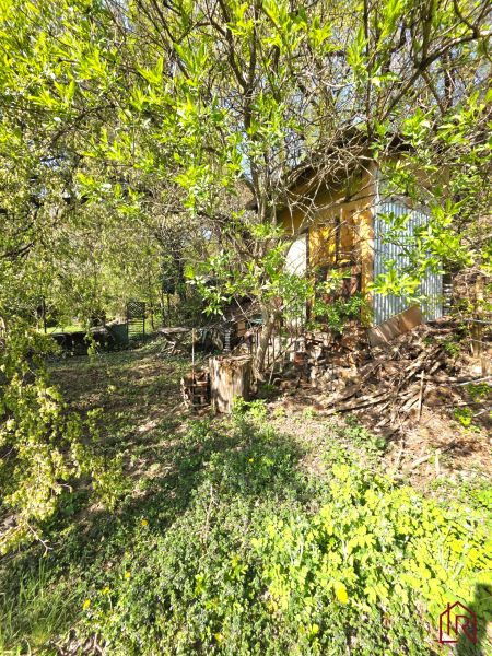 : Záhrada s chatkou, Košice – Krásna, 716 m², elektrina - Záhrada v Košiciach - mestskej časti Krásna na Ulici 1. mája, obklopená zeleňou a stromami.