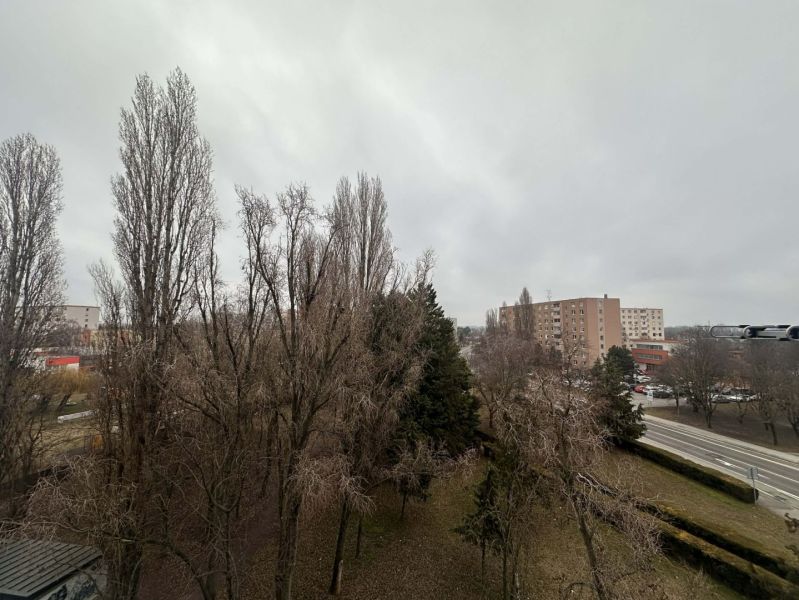 ☎️ 0918/197 701 Na prenájom garsónka s balkónom aj s výťahom   v centr - Zasnežené stromy a sídlisko v Dunajskej Strede, blízko rekreačného apartmánu.