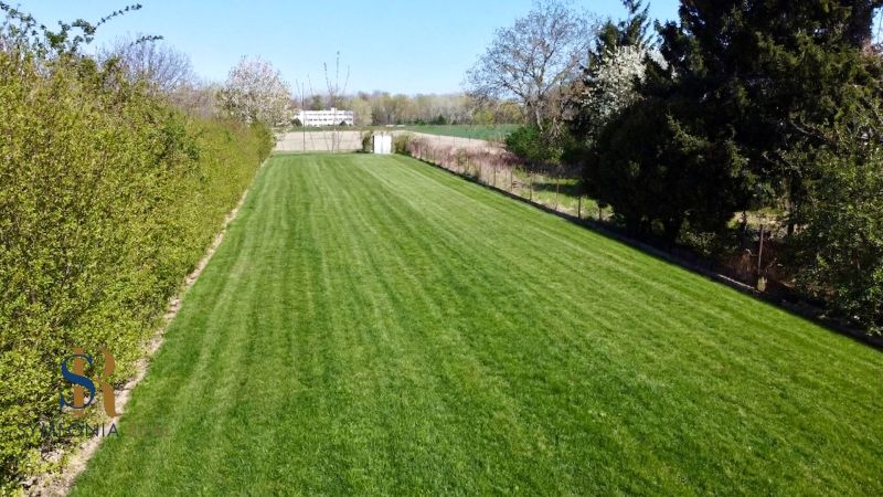 Priestor pre váš vysnívaný domov – pozemok 1114 m² - Horné Topoľníky - Rozľahlý trávnatý pozemok na bývanie v Topoľníkoch, obklopený zeleňou a stromami.
