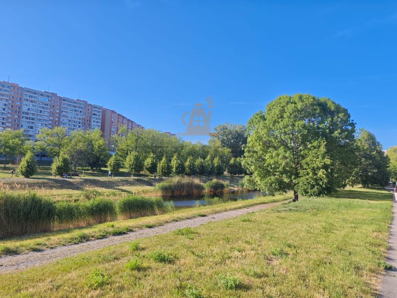 Na prenájom 1 izbový byt, 34 m2, Bratislava, Petržalka, Lachova ulica - Sídlisko s bytovými domami, zeleňou a chodníkom v Petržalke na Lachovej.