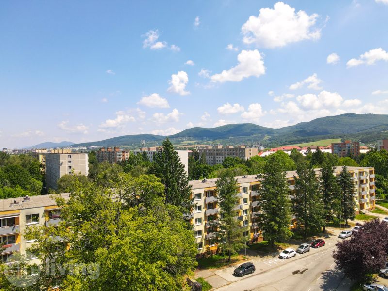 NOVINKA - 2 izbový + loggia + výťah v meste NOVÁ DUBNICA - Výhľad na obytné budovy obklopené zeleňou na Trenčianskej ulici v Novej Dubnici.