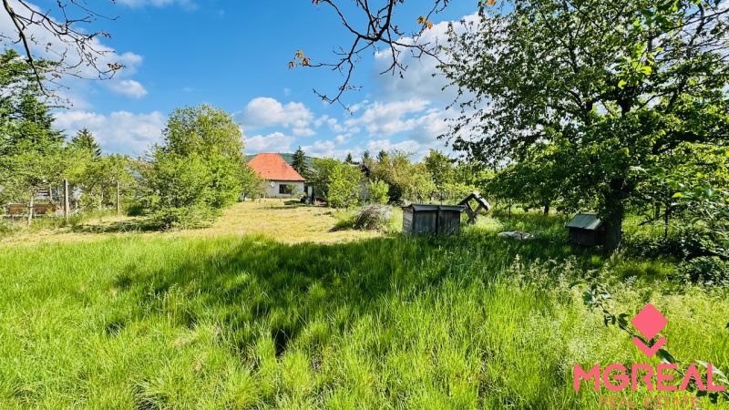 Na predaj 6-izbový rodinný dom (dvojdom) v Pažiti, pozemok 1445 m² - Zeleň, stromy a rodinný dom v obci Pažiť s modrou oblohou v pozadí.
