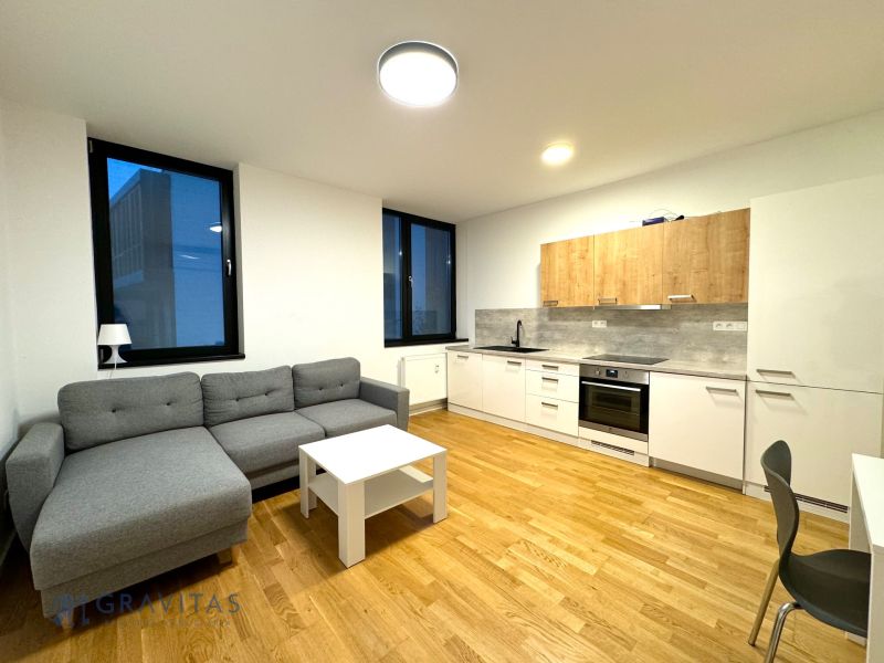 Medicínske centrum alebo budova s 8 apartmánmi - Obývacia izba s kuchyňou, sedačka, stôl a kuchynská linka v budove na ulici Na varte.