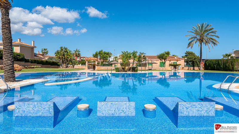 2-izb. bungalov so záhradou, Cala Murada, Mallorca - Bazén obklopený palmami v rekreačnom apartmáne Cala Murada Mallorca.