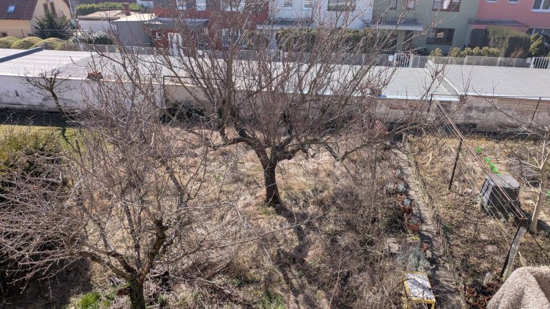Radový domček na Zobore s výhľadom na mesto, Ružová ulica, garáž - Záhrada pri rodinnom dome na Ružovej ulici v Nitre s ovocnými stromami.