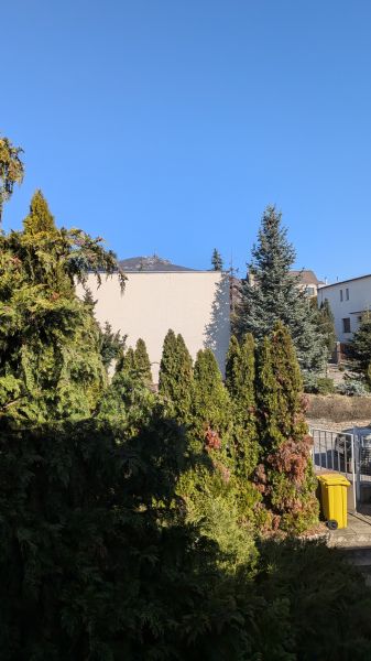 Radový domček na Zobore s výhľadom na mesto, Ružová ulica, garáž - Záhrada s ihličnanmi pri rodinnom dome na Ružovej ulici v Nitre, slnečný deň.