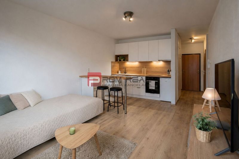 Útulná garzónka v srdci Ružinova pri OC Perla Ružinova - Rekreačný apartmán s podlahou s dreveným dekorom, sedačkou, kuchyňou a televízorom.