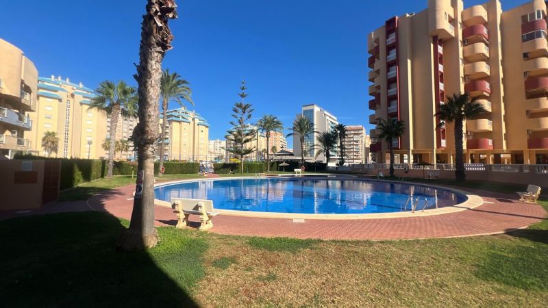 Predaj- Apartmány - La Manga del Mar Menor- Španielsko  - Bazén obklopený zeleňou a palmovými stromami v La Manga del Mar Menor predstavuje rekreačný apartmán.