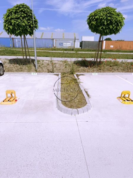 PRENÁJOM 2 izbový, nadštandardný byt-terasa,záhrada,2x parking GALANTA - Parkovisko s mladými stromami a skladmi v pozadí v Galante, vhodné pre 2-izbový byt.