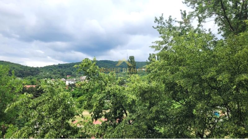Prenájom 3 izbový byt, Teplická ulica, Bratislava III. Nové Mesto - Pohľad na zeleň v Bratislave - Novom Meste z Teplickej, obklopený kopcami.