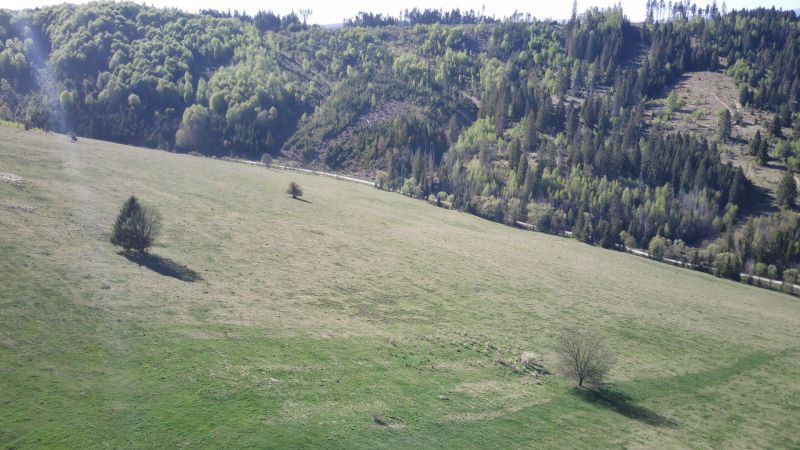 Čierny Balog – 2.730 INVESTIČNÝ pozemok v podiele 1/1 - Panoráma poľnohospodárskych a lesných pozemkov pri Čiernom Balogu s jednotlivými stromami.