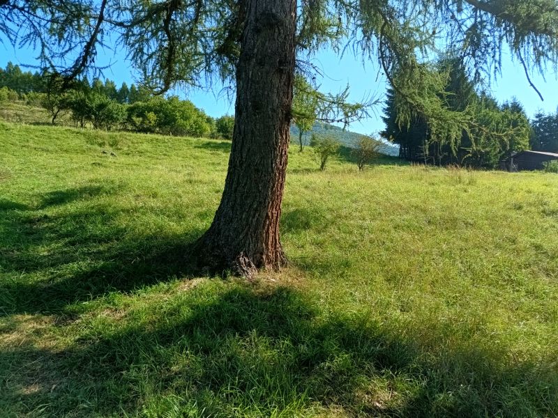 STAVEBNÝ POZEMOK - vo výmere 1036 m2 v obci Vrícko okr. Martin - Stromy a zelené lúky v Vrícku sú ideálne pre Pozemky - bývanie.