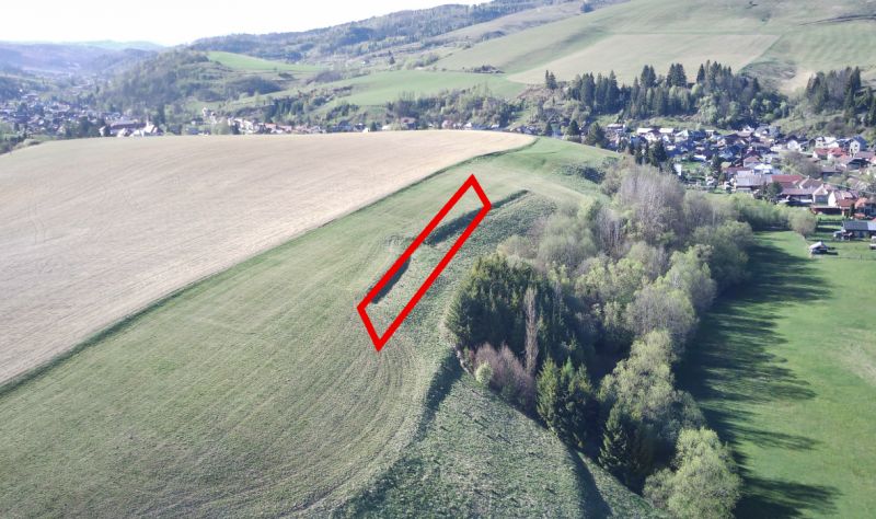 Čierny Balog – 338 m2 POĽNOHOSPODÁRSKY pozemok v 1/1 - Poľnohospodárske a lesné pozemky okolo Čierneho Balogu s vyznačeným úsekom na svahu.