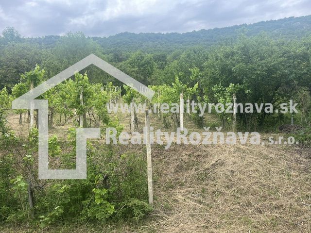PREDAJ/ Krásna chalupa s vinicou/Jablonov nad Turňou - Vinica pri Chate v Jablonove nad Turňou s výhľadom na zalesnené kopce.