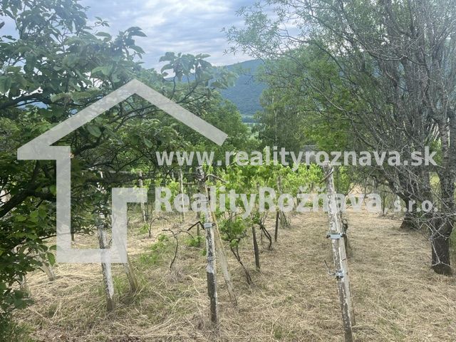PREDAJ/ Krásna chalupa s vinicou/Jablonov nad Turňou - Vinice v malebnej krajine Jablonova nad Turňou obklopené zeleňou a kopcami.