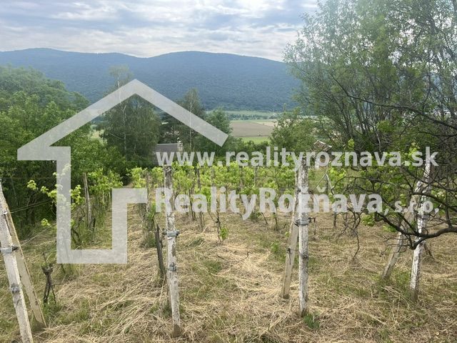 PREDAJ/ Krásna chalupa s vinicou/Jablonov nad Turňou - Vinice neďaleko chaty v Jablonove nad Turňou s výhľadom na hory.