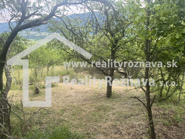 PREDAJ/ Krásna chalupa s vinicou/Jablonov nad Turňou - Prírodné prostredie obklopené stromami v Jablonove nad Turňou vhodné pre chatu.