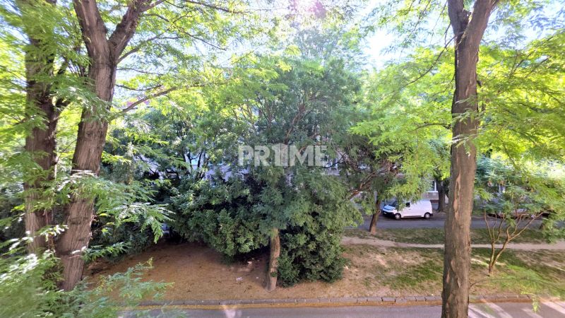 Pekný 2i byt, REKONŠTRUKCIA, Tichá časť, Trenčianska ulica, Nivy - Zeleň a stromy na Trenčianskej ulici v Bratislave - Ružinove, pri 2-izbovom byte.
