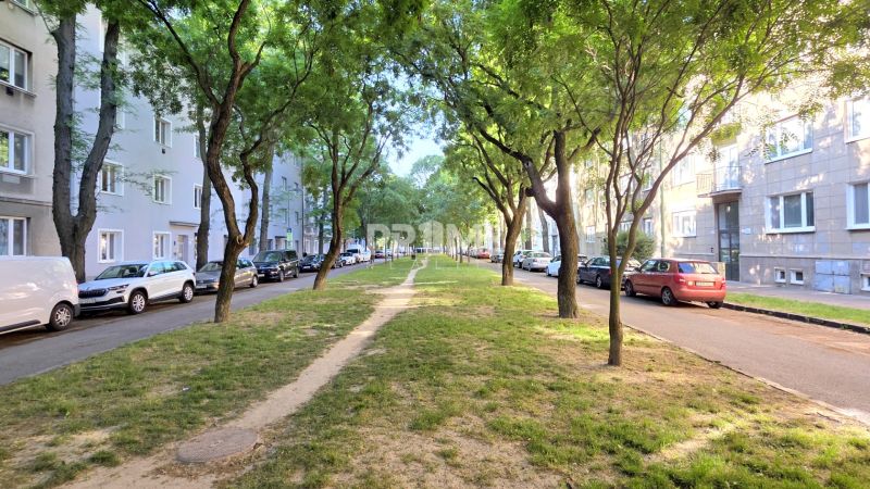 Pekný 2i byt, REKONŠTRUKCIA, Tichá časť, Trenčianska ulica, Nivy - Pokojná ulica v Bratislave - Ružinove, Trenčianska, lemovaná stromami a zaparkovanými autami.