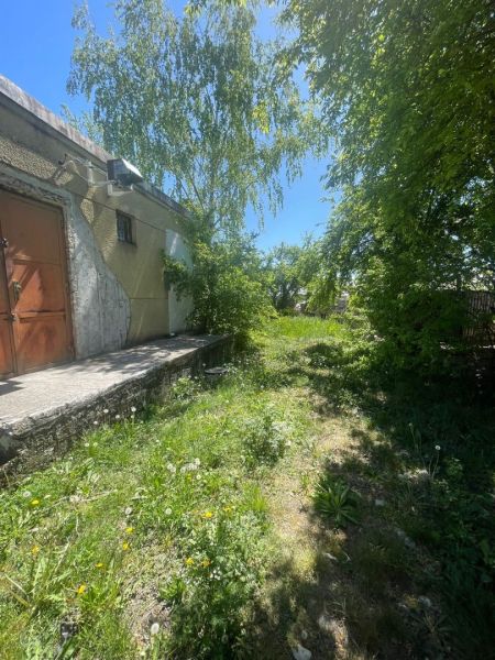 Postavte si dom alebo podnikajte - Záhrada s bujnou vegetáciou pri staršej budove v Ondrejovciach, Pozemky - bývanie.