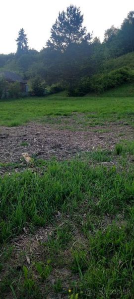 Na predaj stavebné pozemky - 7 500 m² v obci Zubné. - Zelený trávnik a stromy pri zvláštnych nehnuteľnostiach v Zubnom.