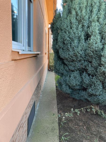 Exkluzívne bývanie: 4izb rod. dom /záhrada/garáž/v centre DS - Exteriér rodinného domu v Dunajskej Strede s ihličnatým stromom pri stenách.