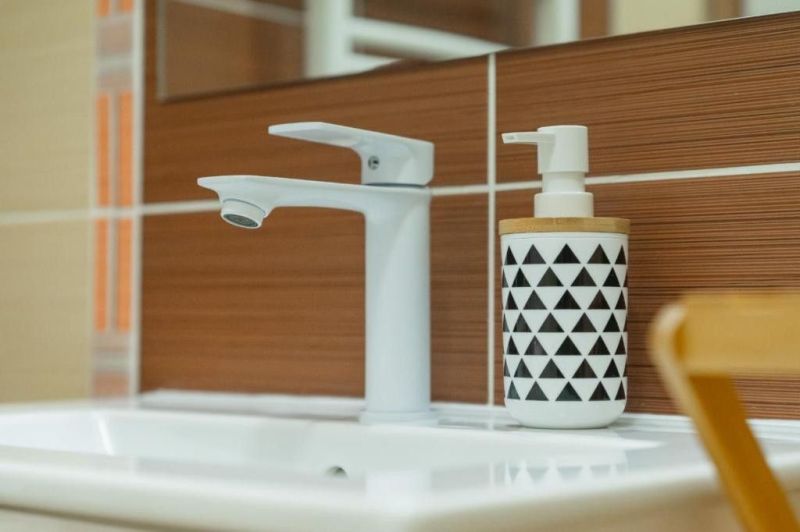 Moderný apartmán v centre Rajeckých Teplíc rovno oproti kúpeľom Afrodi - Umývadlo s bielou batériou a dávkovačom na mydlo v rekreačnom apartmáne.