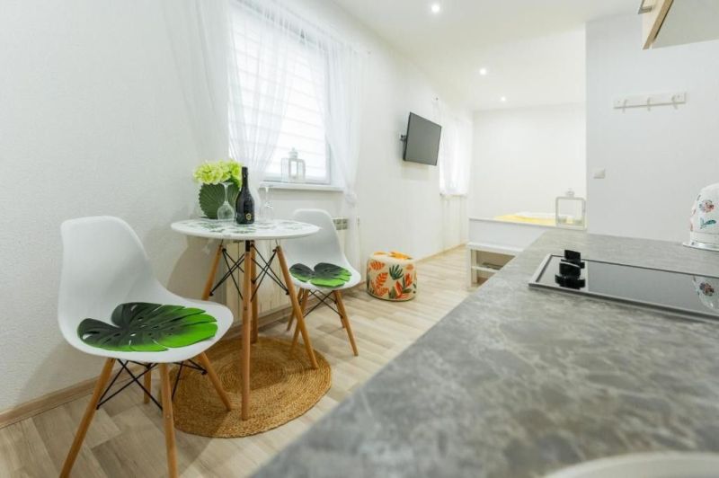 Moderný apartmán v centre Rajeckých Teplíc rovno oproti kúpeľom Afrodi - Rekreačný apartmán s podlahou s dreveným dekorom, kuchynským kútom a sedením.