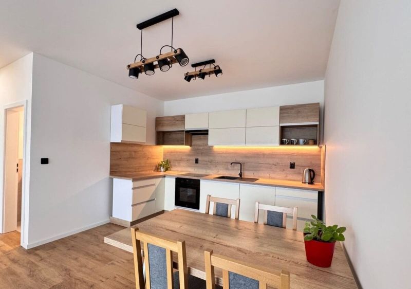 Prenájom nový 2-izbový byt -49m² Žilina-Vlčince, EUROTERRACE - Kuchyňa v 2-izbovom byte s podlahou s dreveným dekorom a moderným vybavením.