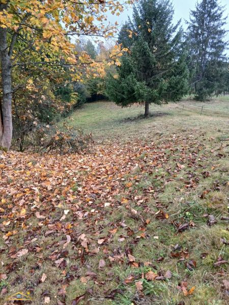 Pozemok na samote v Klokočove – 1 799 m², príroda, súkromie