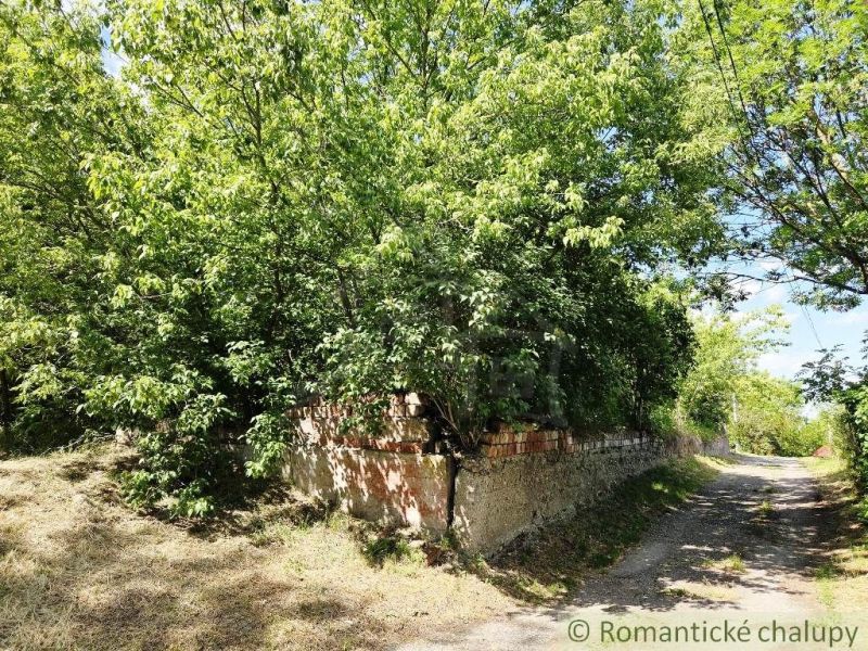 482 m2 pre nový dom v obci Pastovce, okres Levice