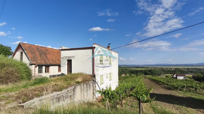 3-podlažný vínny domček s vinicou v obci Vinica, okr. V. Krtíš. - Vidiecky dom pri vinohradoch vo Viniciach, s krásnym výhľadom na okolitú krajinu.