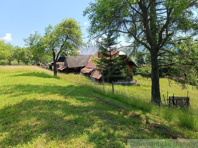 Pozemok s drevenicou na Kysuciach s krásnym výhľadom, Olešná - Chata v Olešnej obklopená zeleňou a stromami na rozľahlej lúke.