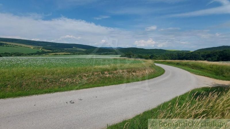 Pozemok v pekným výhľadom pri lese v obci Podkylava okr. Myjava na pre - Krajina s cestou a lúkami v Podkylave, ideálne pre pozemky - bývanie.