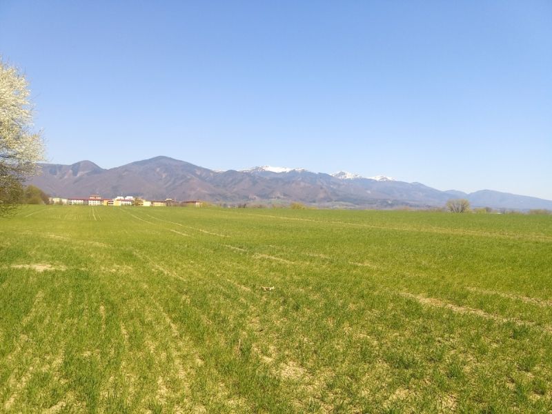 MARTIN-Slnečné Lány pozemok na developerské a komerčné účely 11 129m2 - Rozľahlé zelené pozemky s pohorím v pozadí, ideálne pre bývanie v prírode.